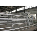 Automatic/Semi-Automatic Poultry Equipment Layer Chicken Cage